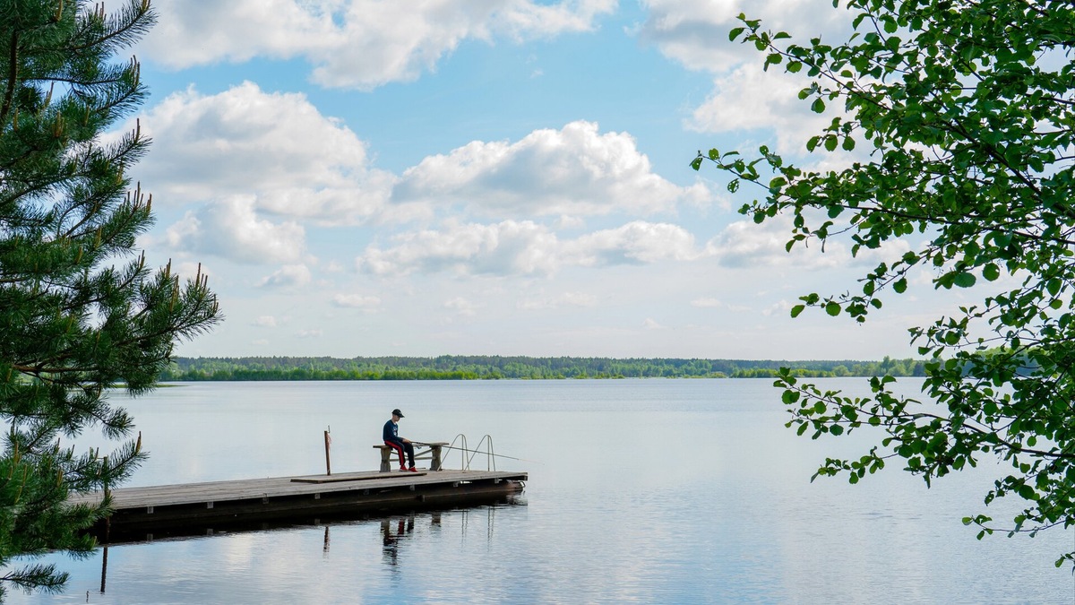 Река Волга: лучшие места для рыбалки на Волге и советы бывалых рыбаков