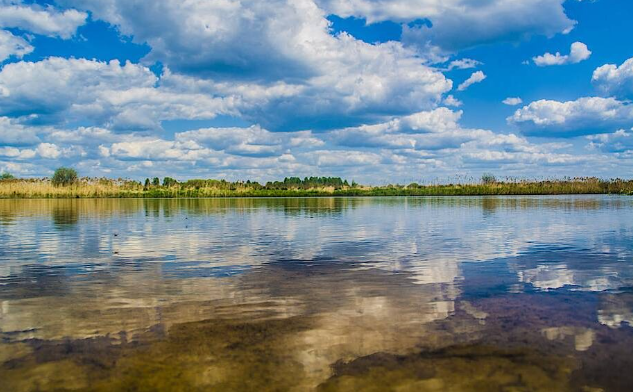 Река Волга: лучшие места для рыбалки на Волге и советы бывалых рыбаков
