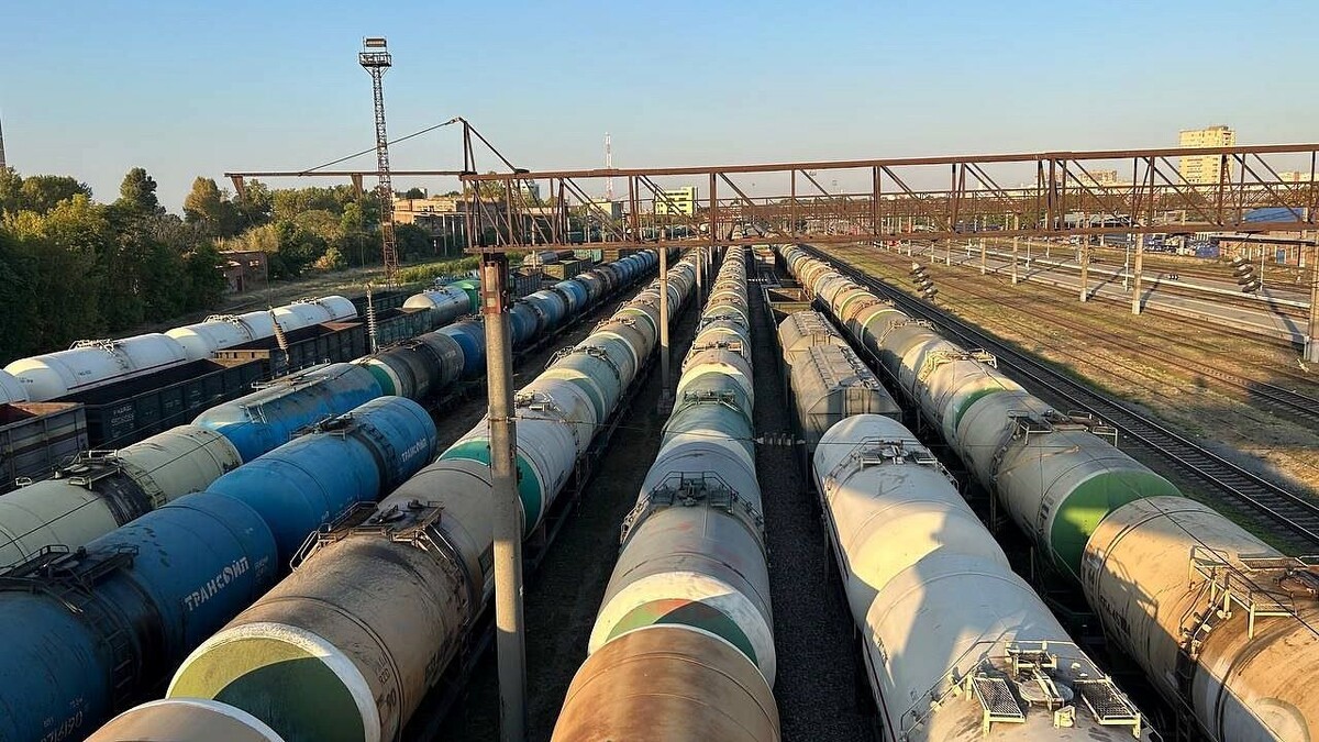    Фото: телеканал «Краснодар»