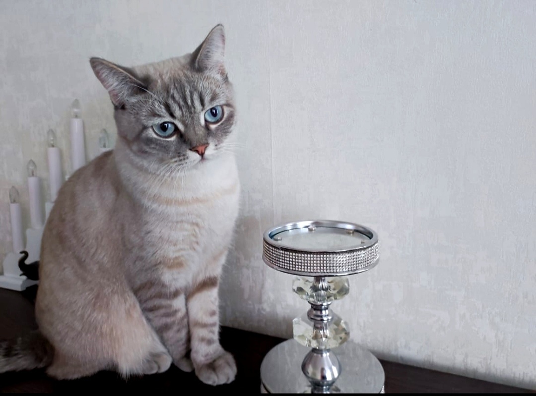 Знакомьтесь,моя Софья,Соня, Санёк... рождённая с именем Мишель 😻💓