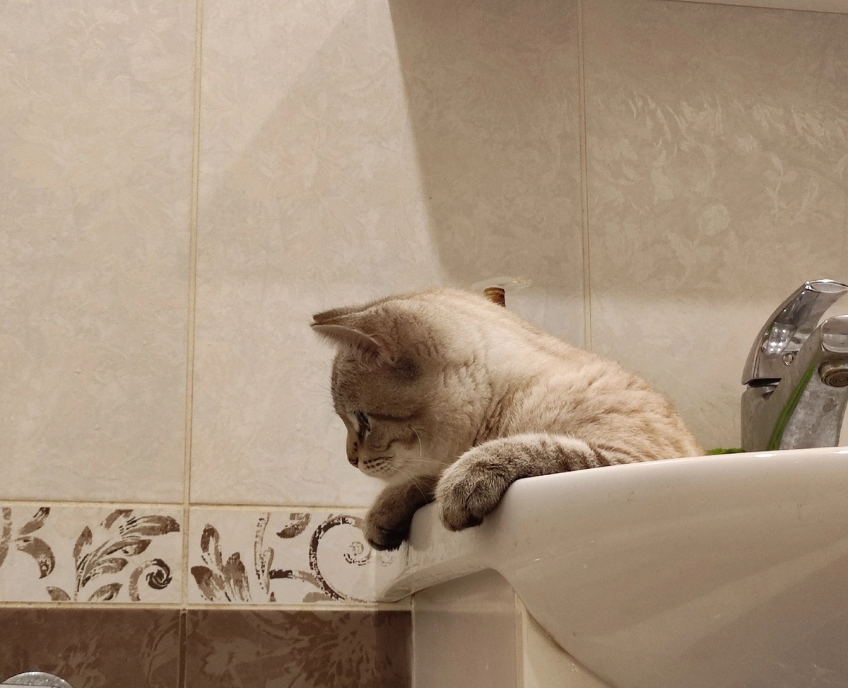 Как же всё интересно 