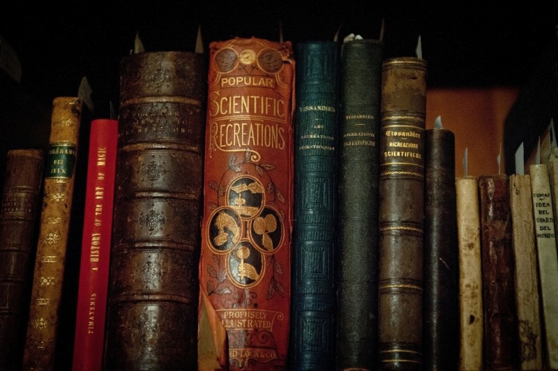    Фото: Bryan Smith/Globallookpress