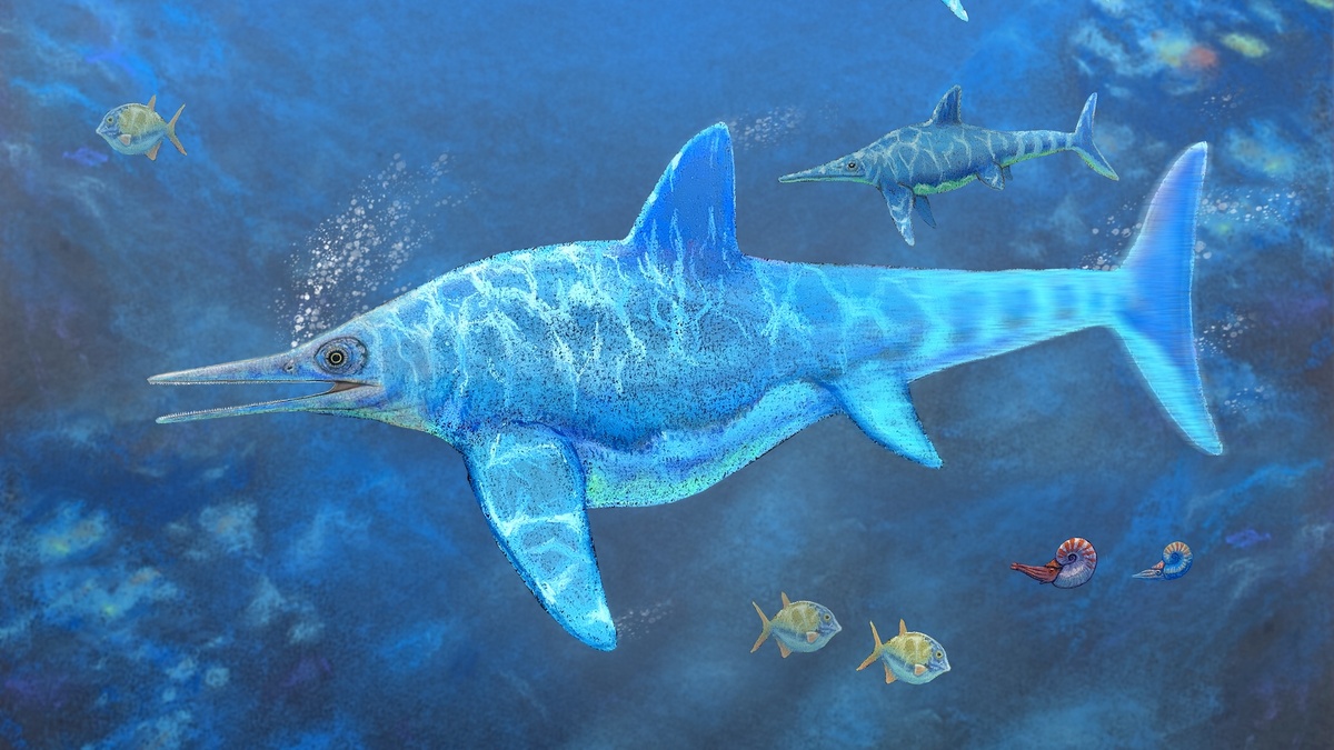    Редкая находка в Чили ископаемая морская рептилия оказалась беременной двойней