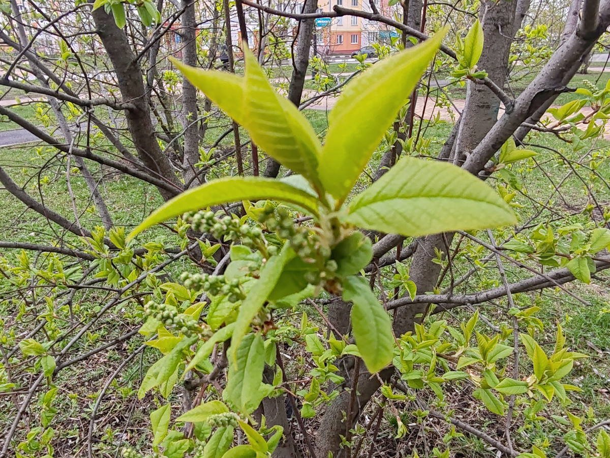 Фото автора канала. 