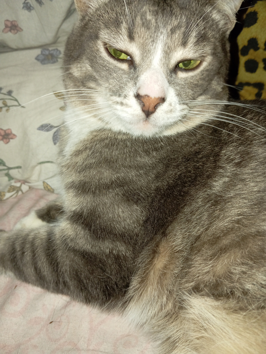 Личное фото автора канала