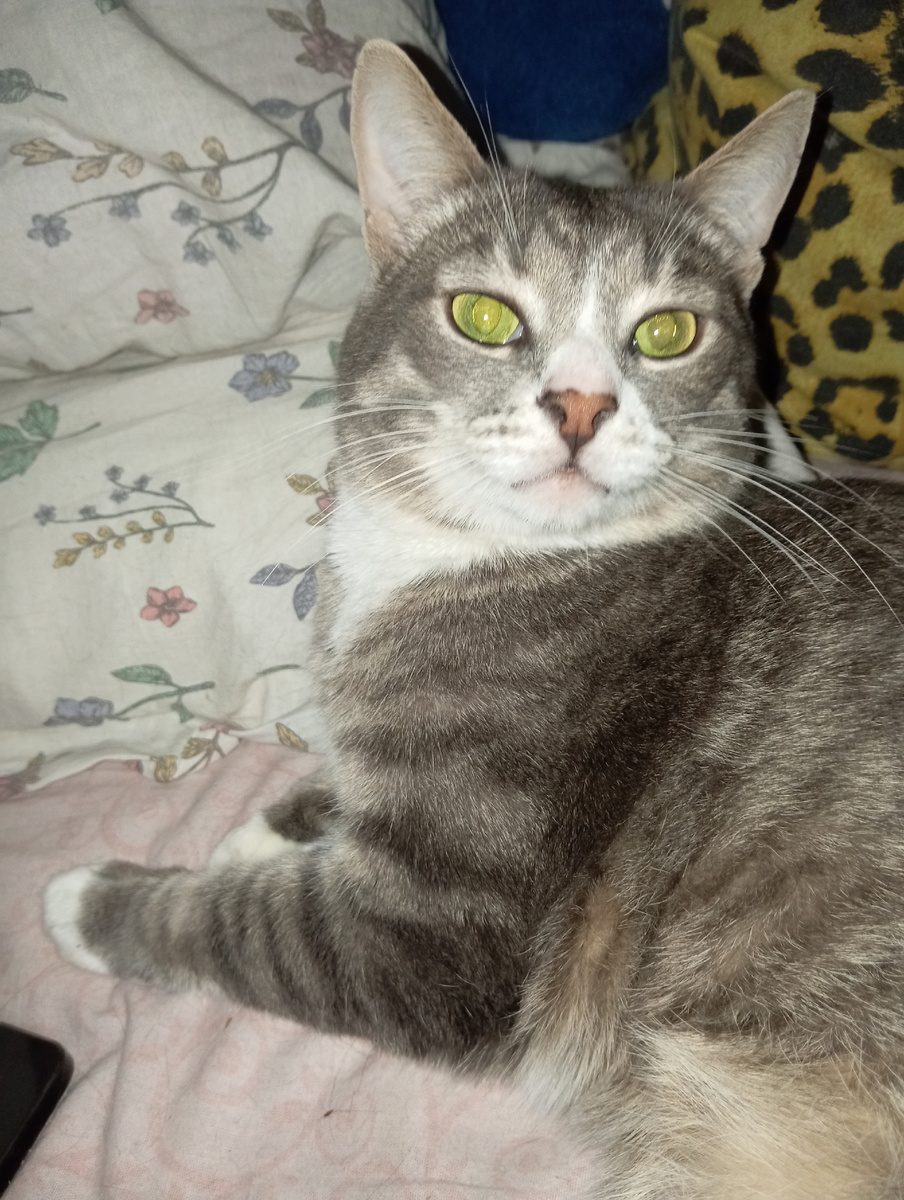 Личное фото автора канала