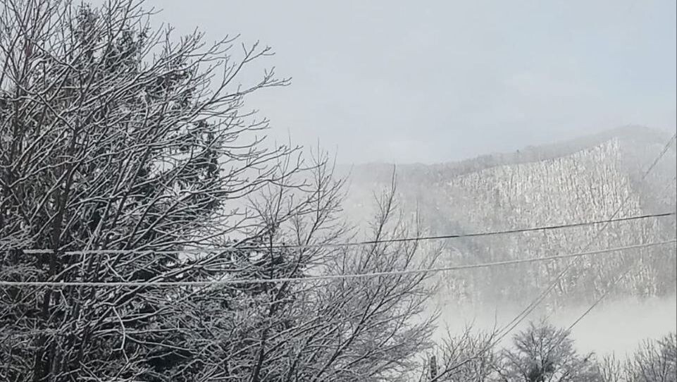     Источник: maglipogoda