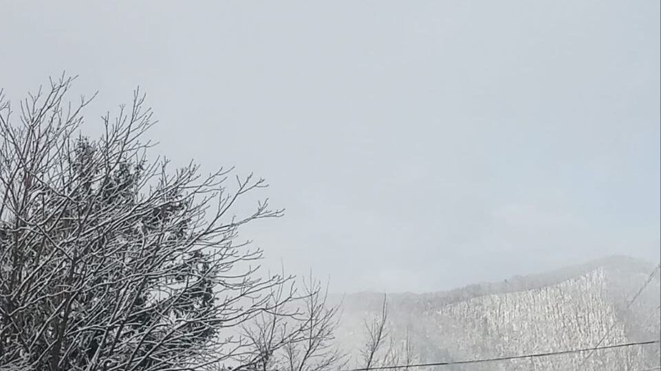     Источник: maglipogoda