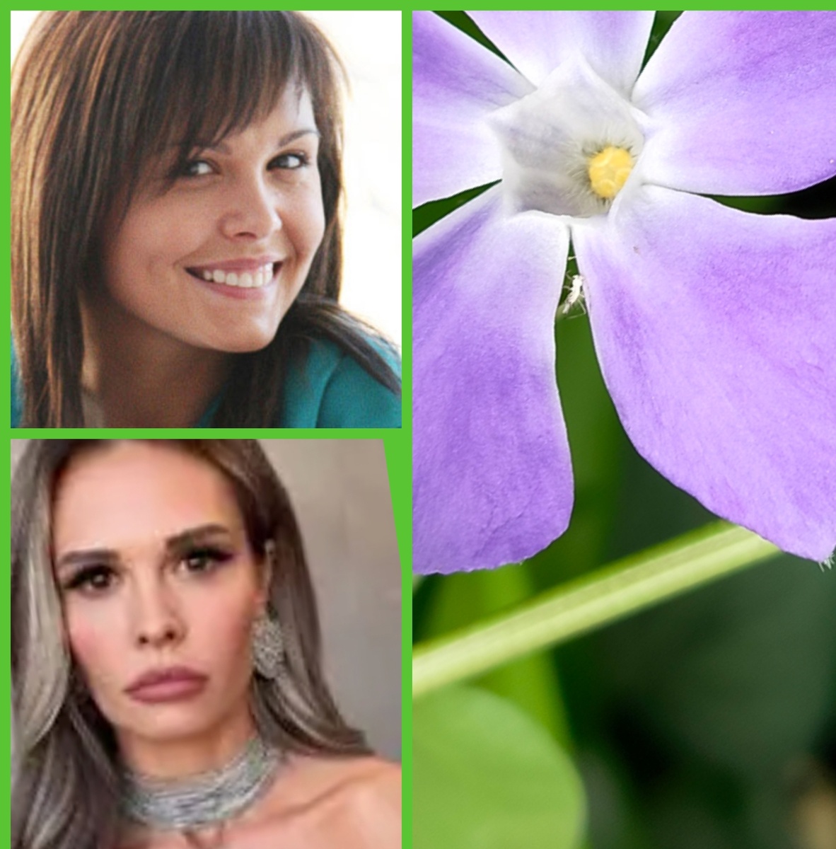 Мария Горбань.Коллаж автора                                                                                                                 С лица воды не пить Русская поговорка