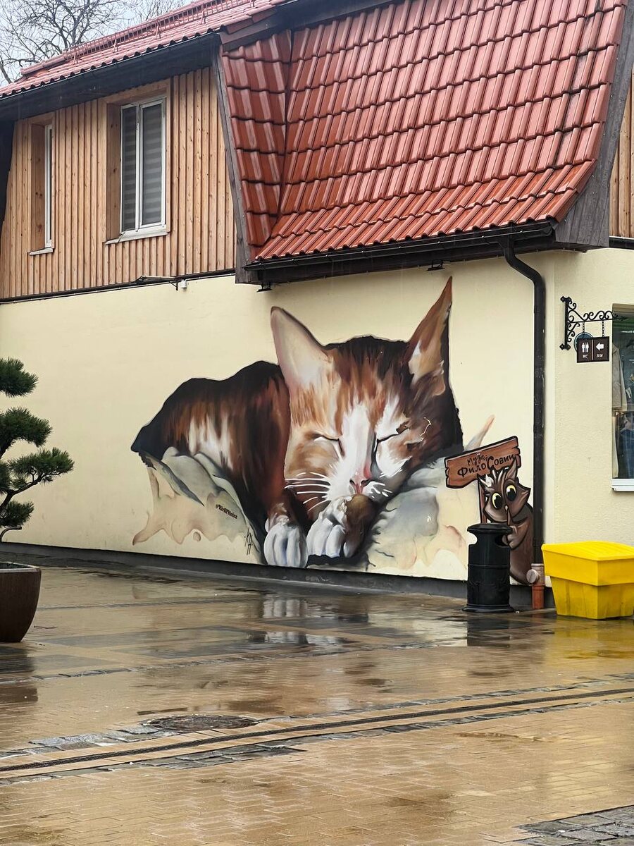 Фото Варвары С.