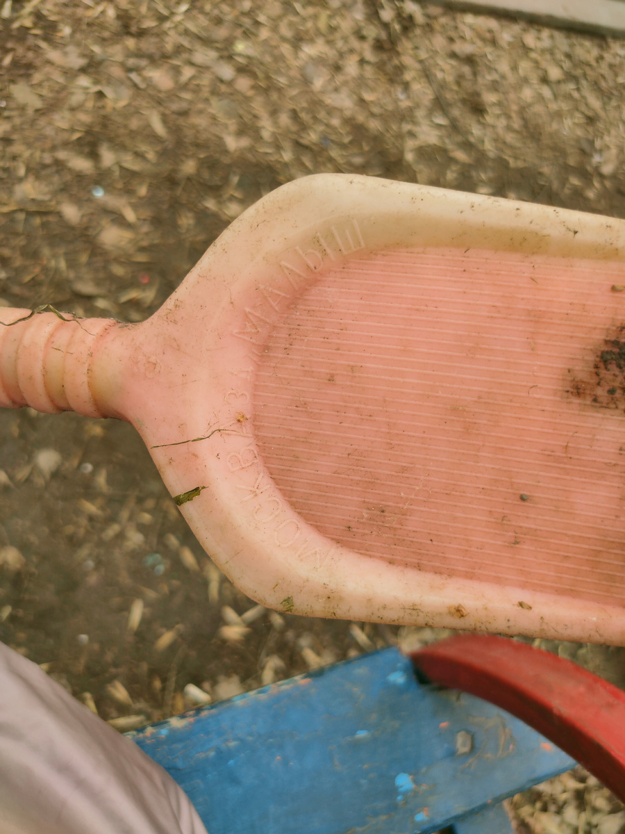 Вот, на улице сын лопатку нашёл 