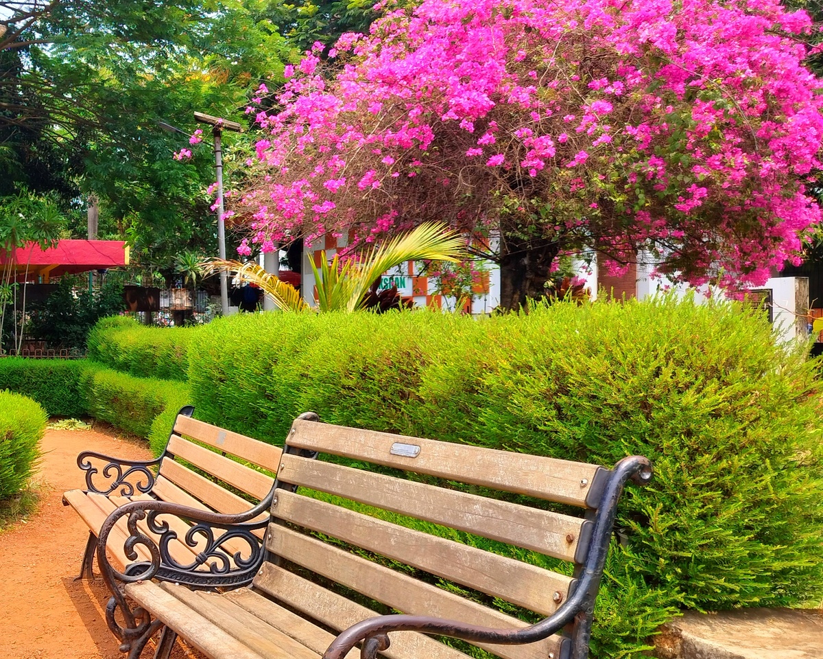 На мой взгляд, существует единственная форма человеческого падения — потеря цели.            
 Айн Рэнд, «Атлант расправил плечи»