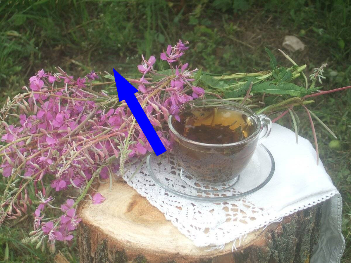    Травяные чаи Валаама секреты монастырской кухни