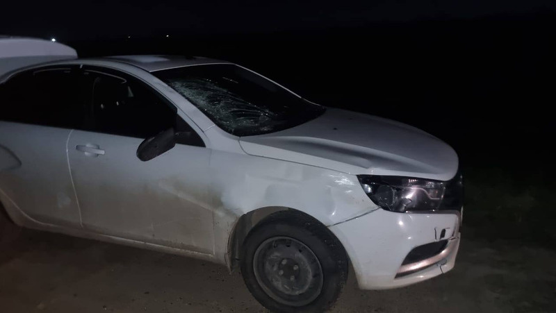    Водитель отечественной легковушки насмерть сбил пешехода в Изобильненском округе Фото: Госавтоинспекция СК