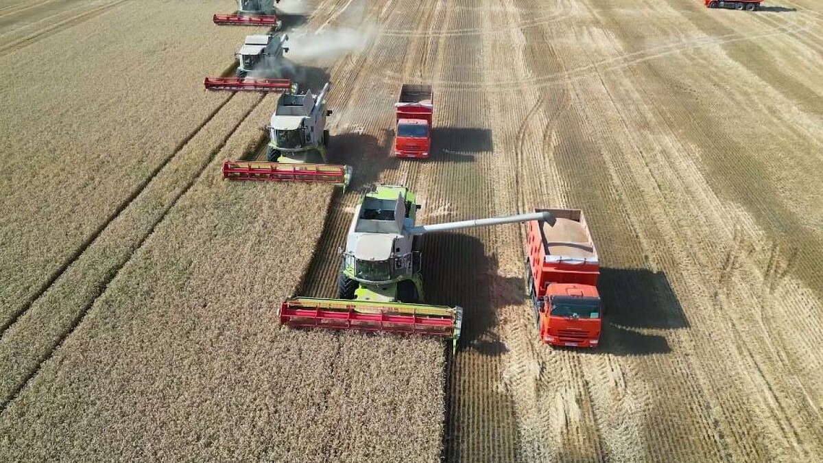    Фото: телеканал «Краснодар»