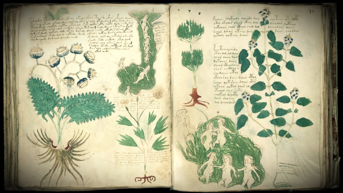 Рукопись Войнича. Изображение взято с Яндекс картинок.