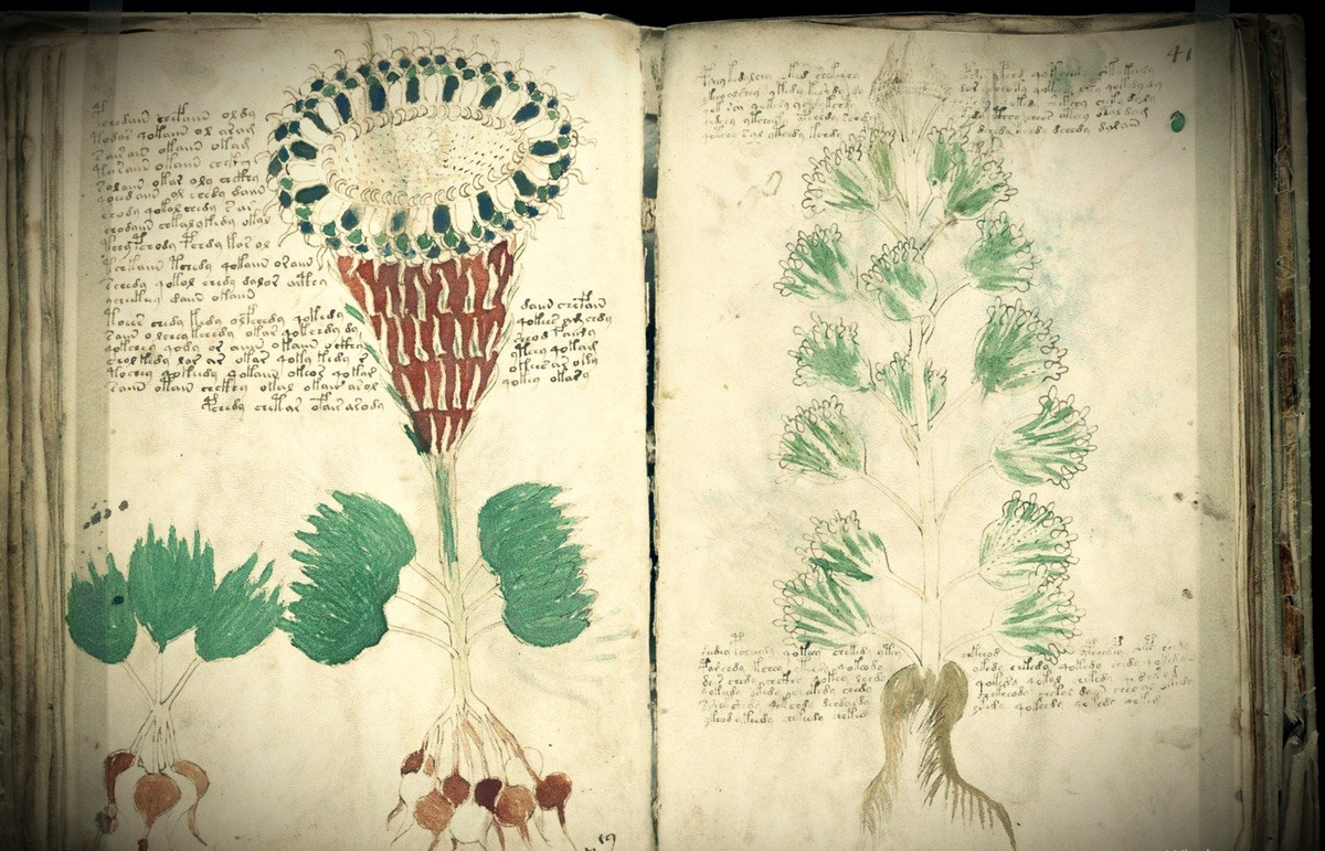 Разделы в кодексе. Изображение взято с Яндекс картинок.