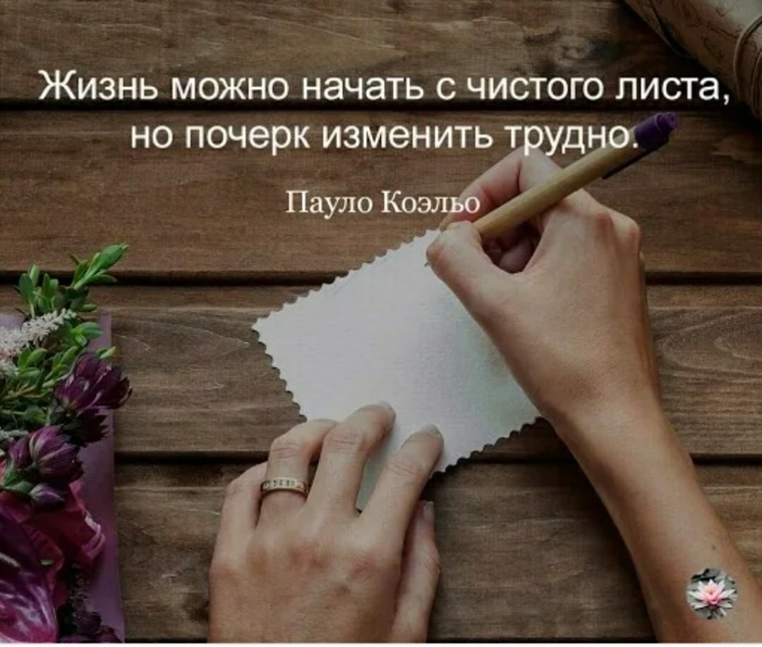 Картинка из интернета. 