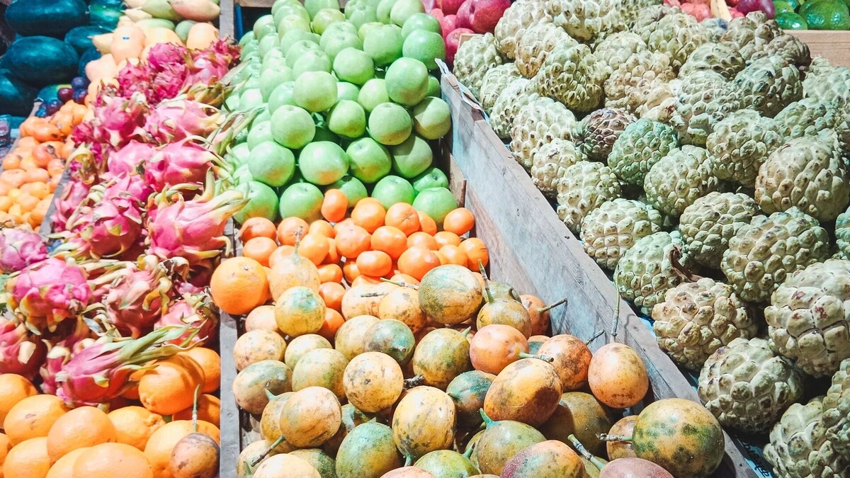     Источник: 1MI