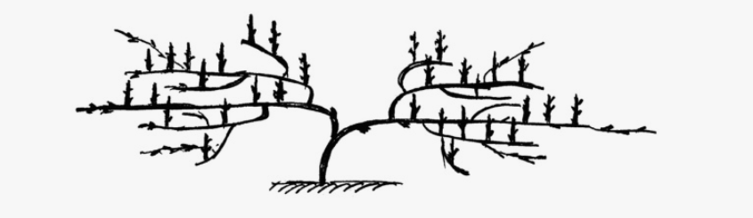 Стланцевый метод