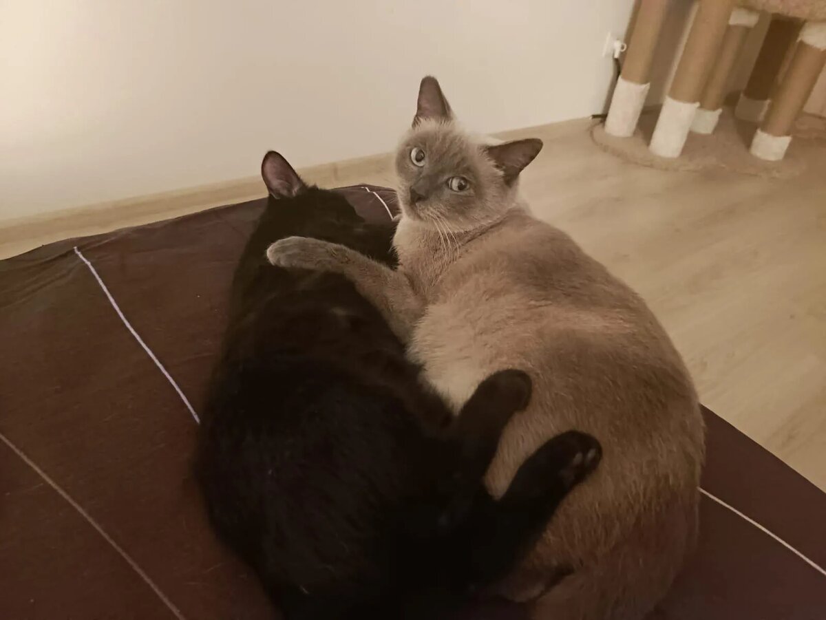 Наши спасеныши