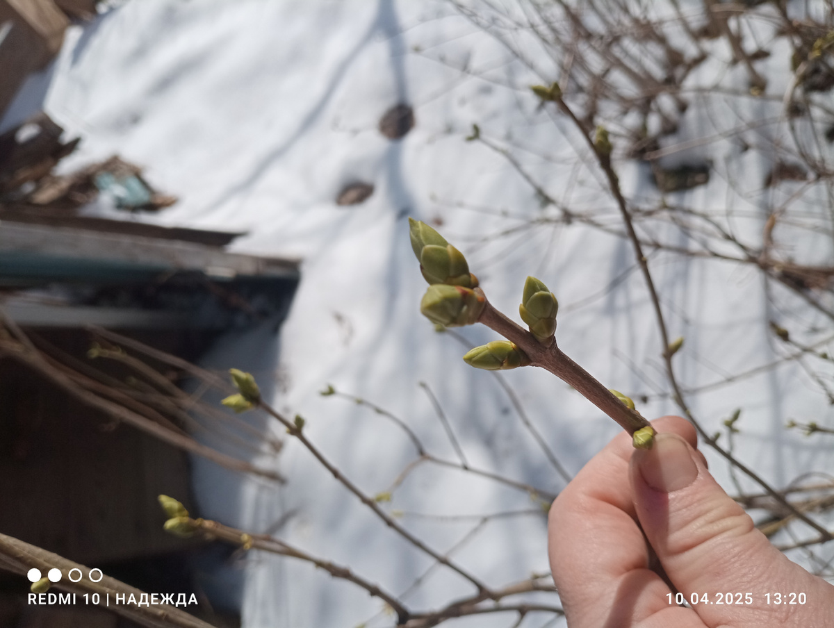 Здесь ценят оригинальные фото