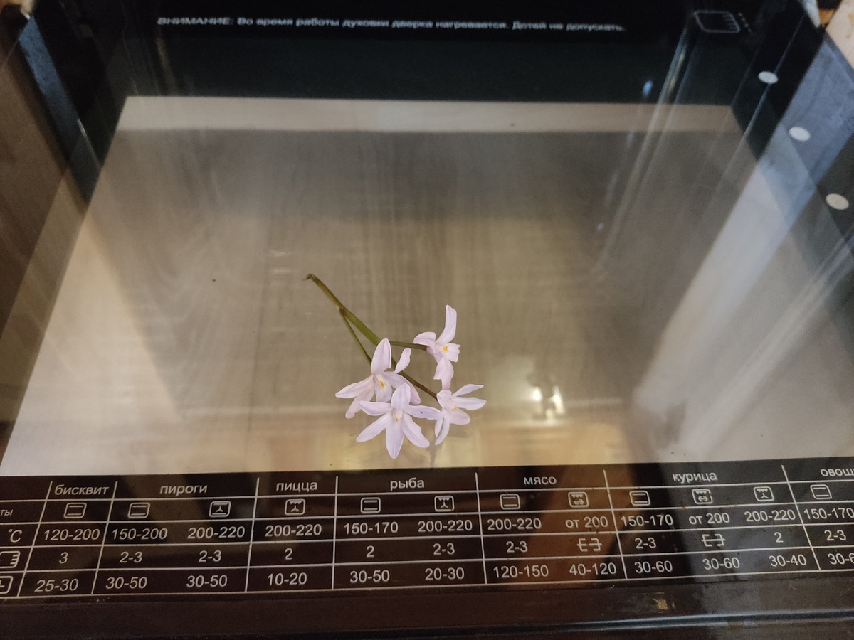 Стало: проявилась инструкция по применению