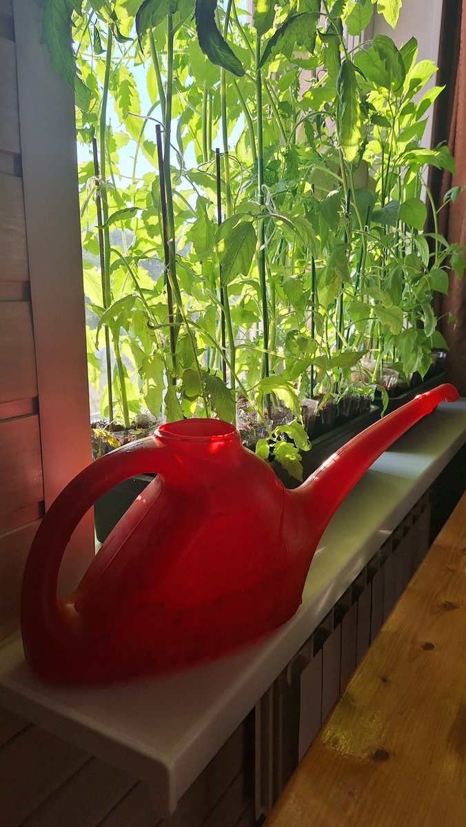 Фото автора. 