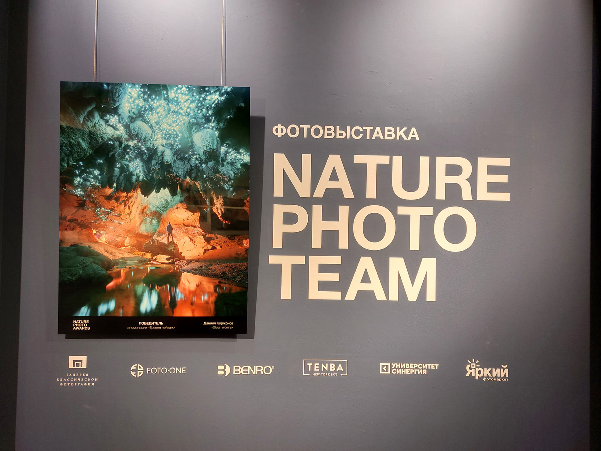 NATURE PHOTO TEAM 