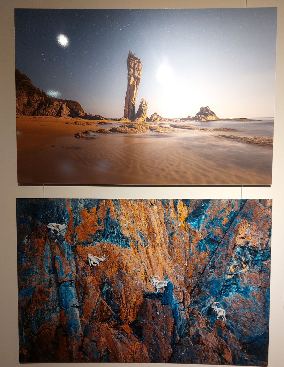 Наталья Чеблыкина