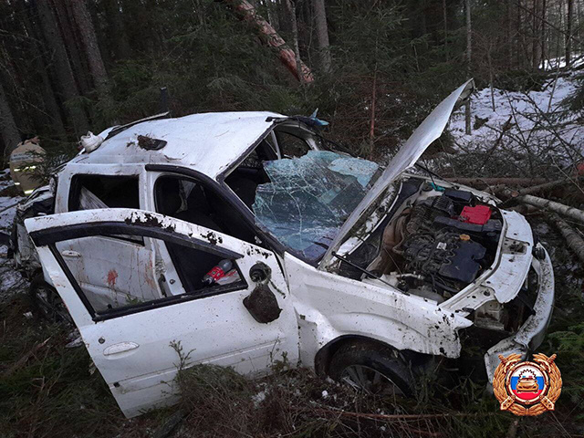 Два человека погибли и один получил травмы в ДТП в Тверской области