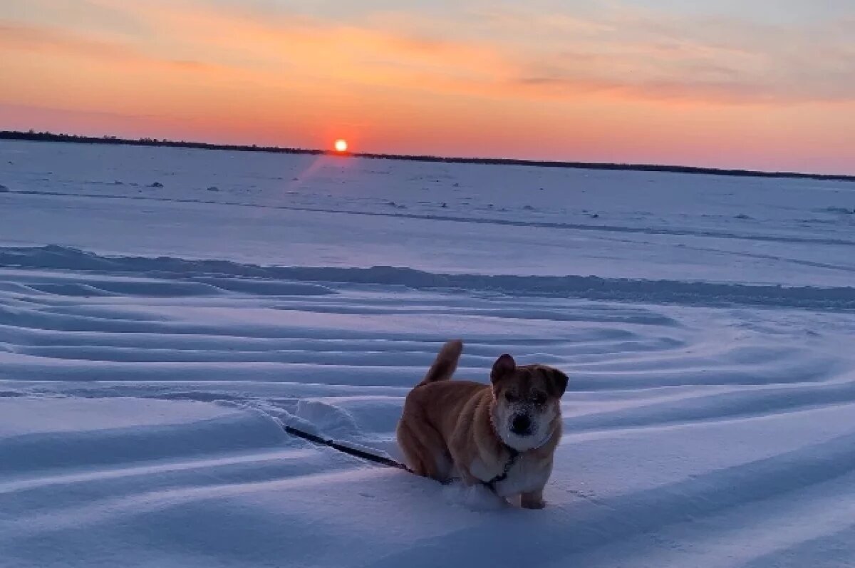    Ямальские путешественники совершили уникальный арктический переход