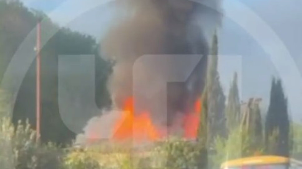 Фото: Telegram-канал ЧП Сочи