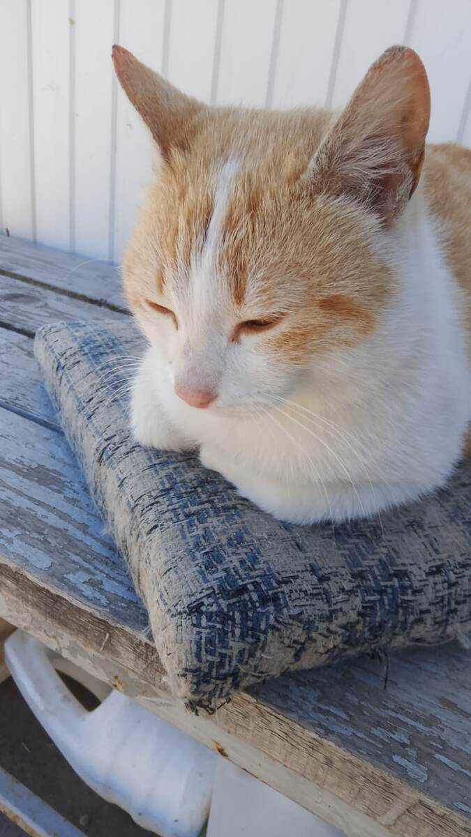 Фото автора. 