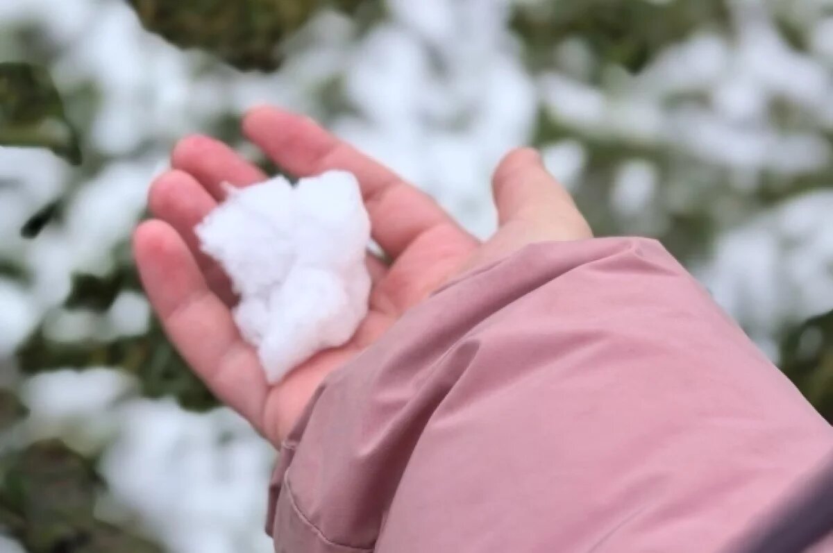    Ярославль сэкономил 130 млн на уборке снега из-за аномально теплой зимы