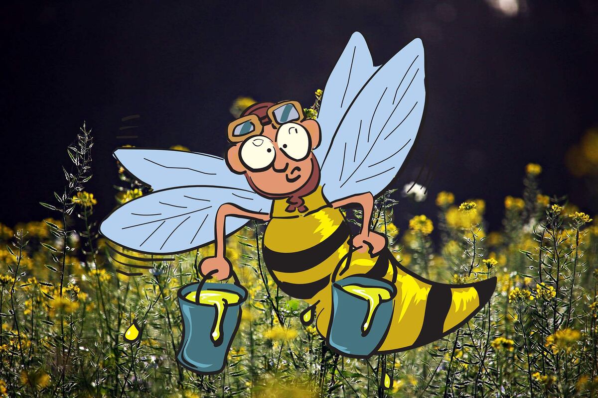 Рапсовый мёд