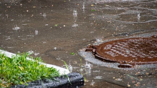    © РИА Новости Крым . Дмитрий Макеев