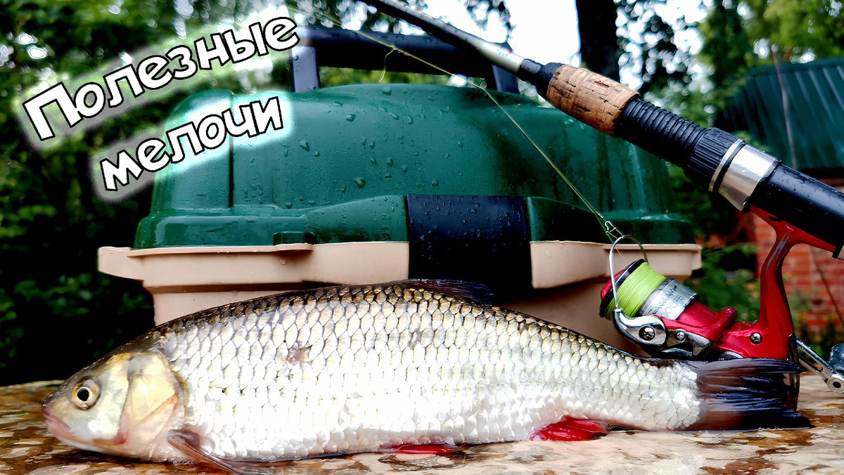 Рыбалка в комфорте, фото из личного архива