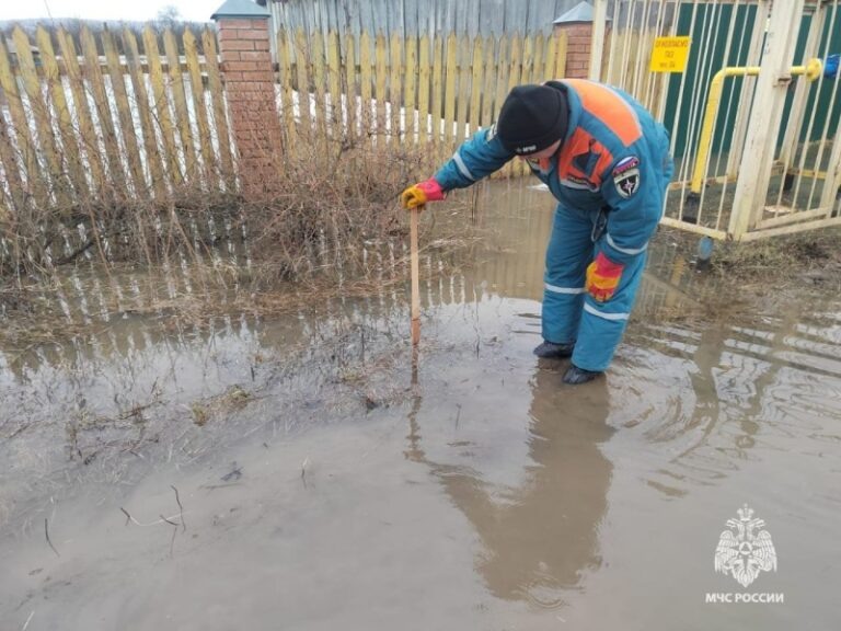    Фото с сайта МЧС Ксения Евдокимова