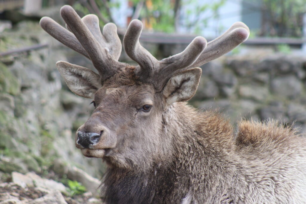 Фото Юлии Бидун, «РТ»