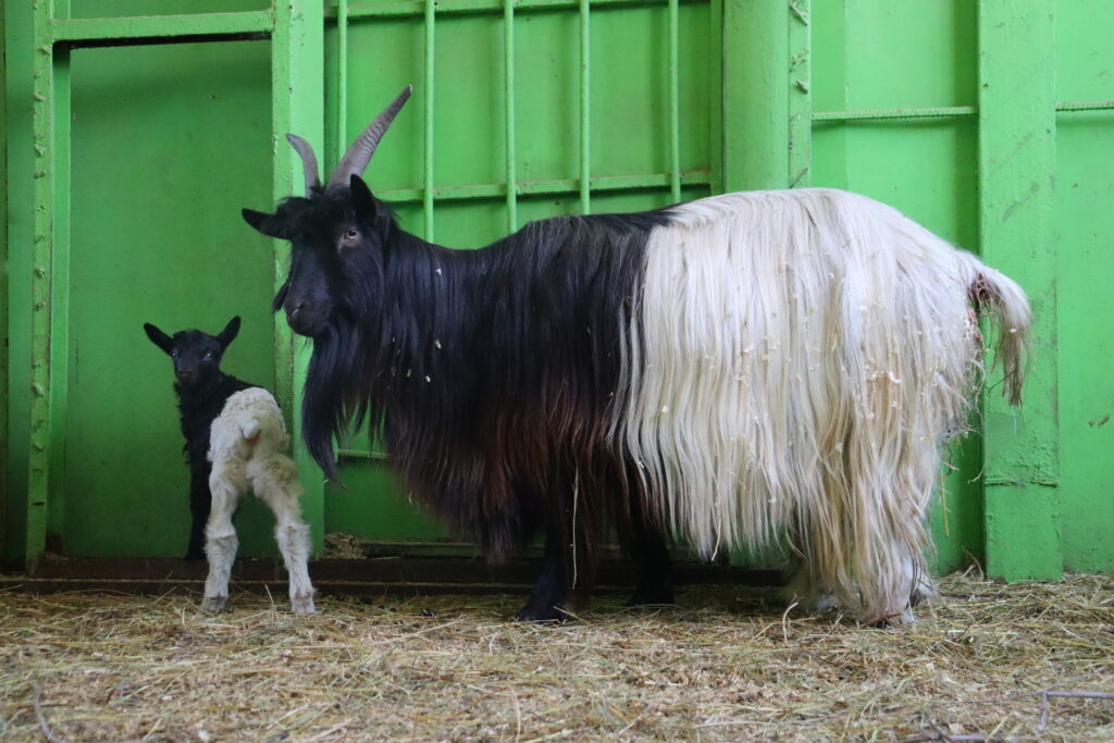 Фото Юлии Бидун, «РТ»