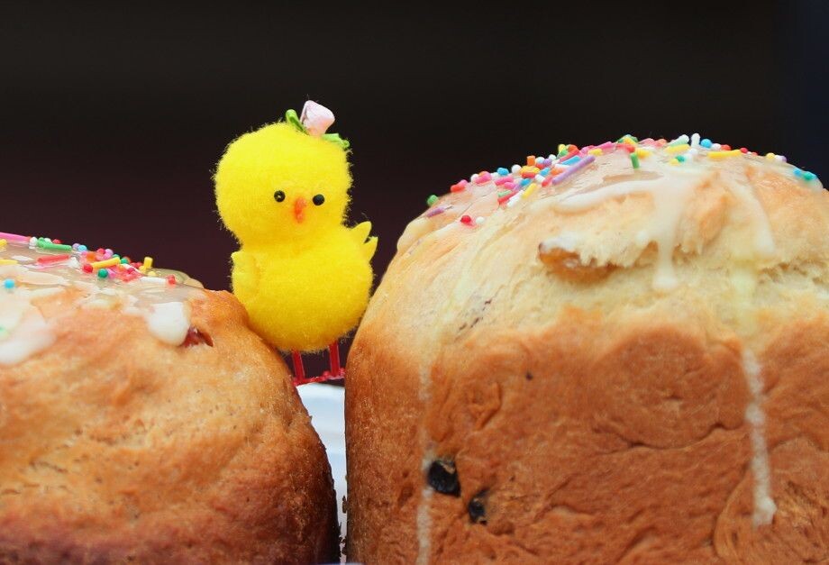 Фото: Фото: Владимир Смирнов/ТАСС