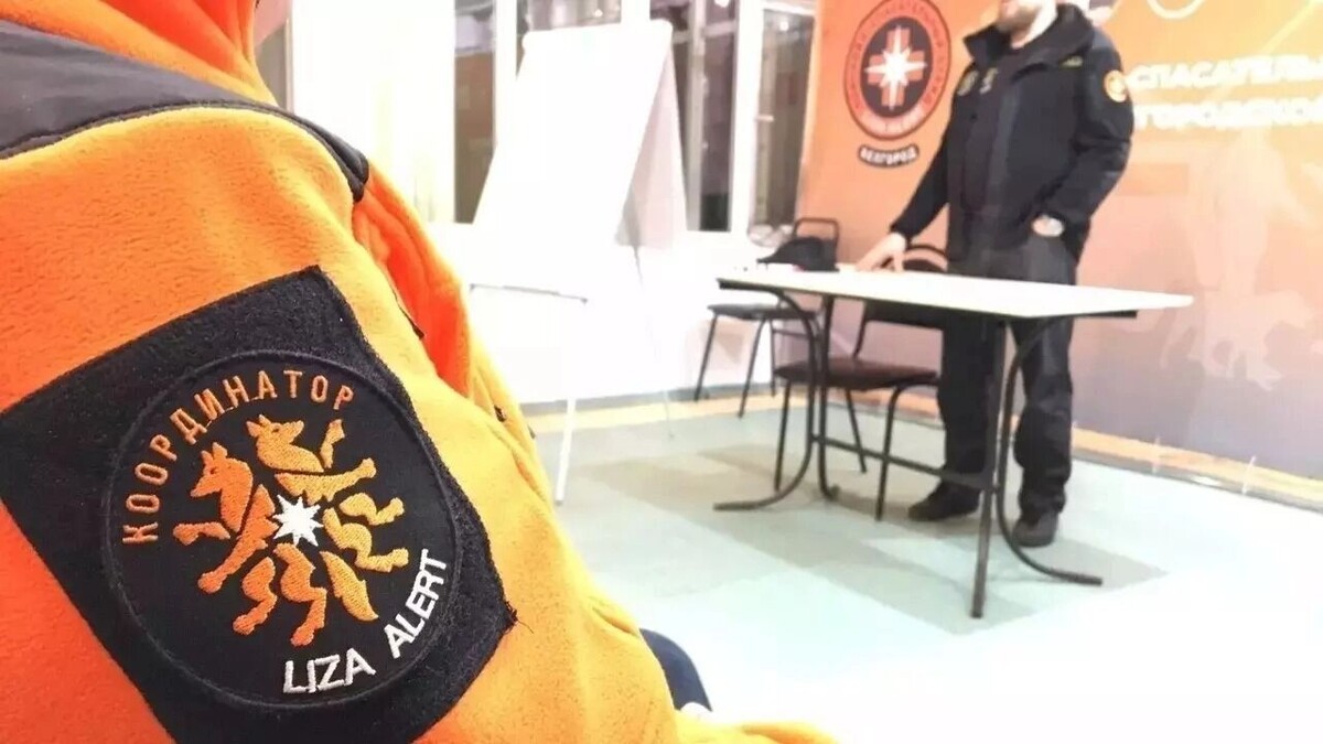     Источник: страница «Лизы Алерт» в соцсети