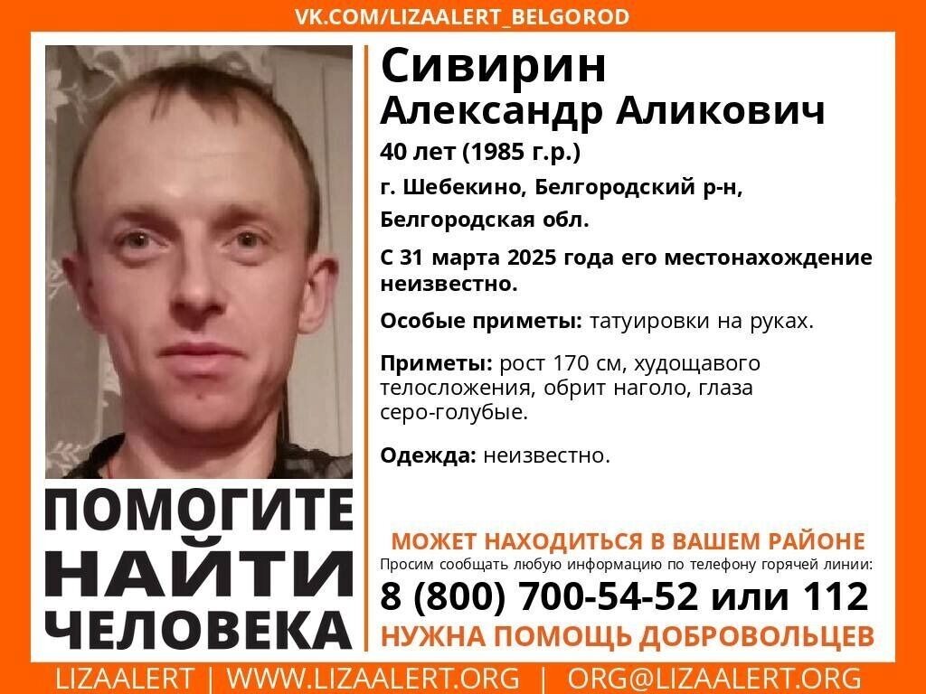     Источник: «Лиза Алерт»