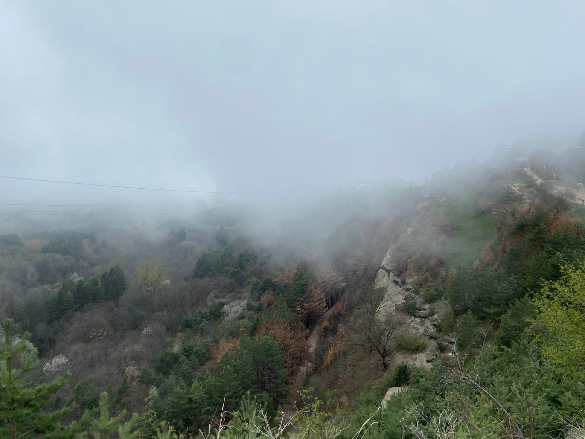 Меня лечат даже фотографии)