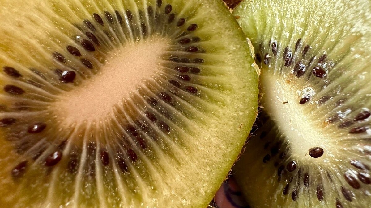    Фото: телеканал «Краснодар»