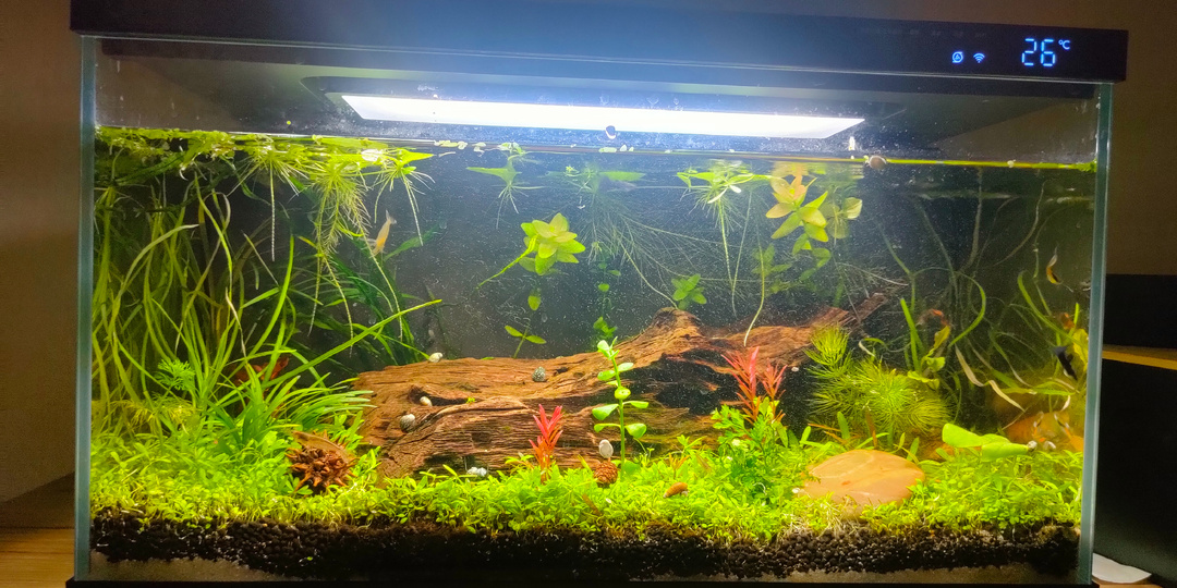 Умный аквариум xiaomi smart fishtank: подробный обзор и опыт использования.