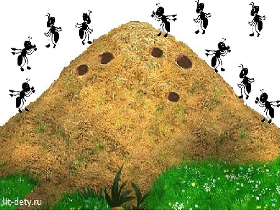 Яндекс картинки.