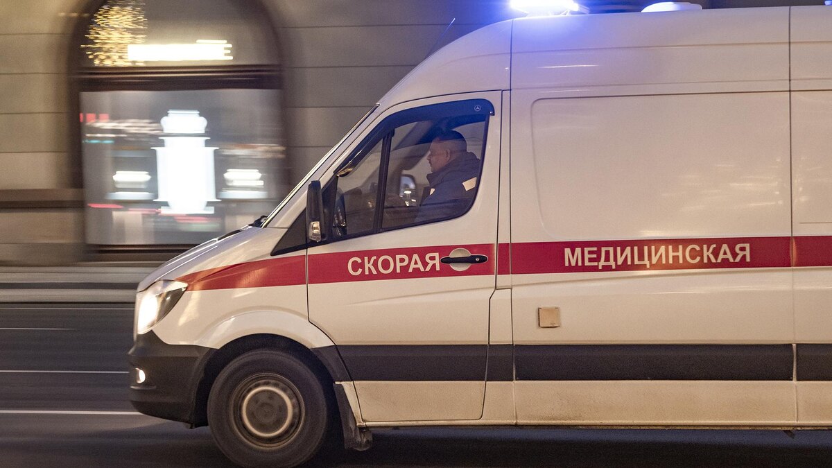    Фото: ИЗВЕСТИЯ/Константин Кокошкин