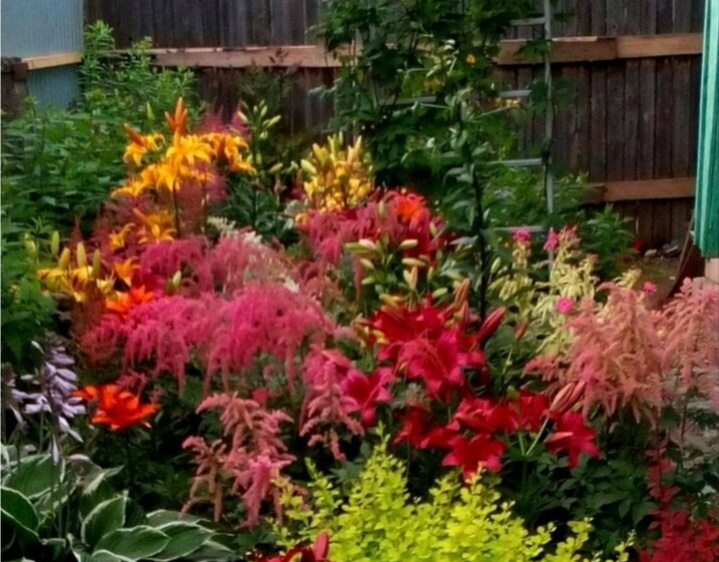 Первые цветники 